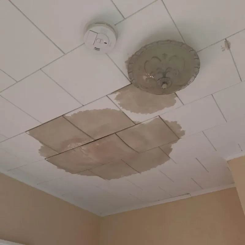 Ceiling Water Damage Repair in White Hall, AR
