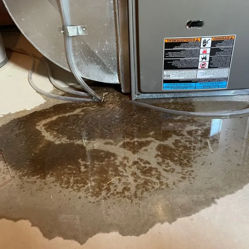 Pipe Burst and Leak Restoration in White Hall, AR
