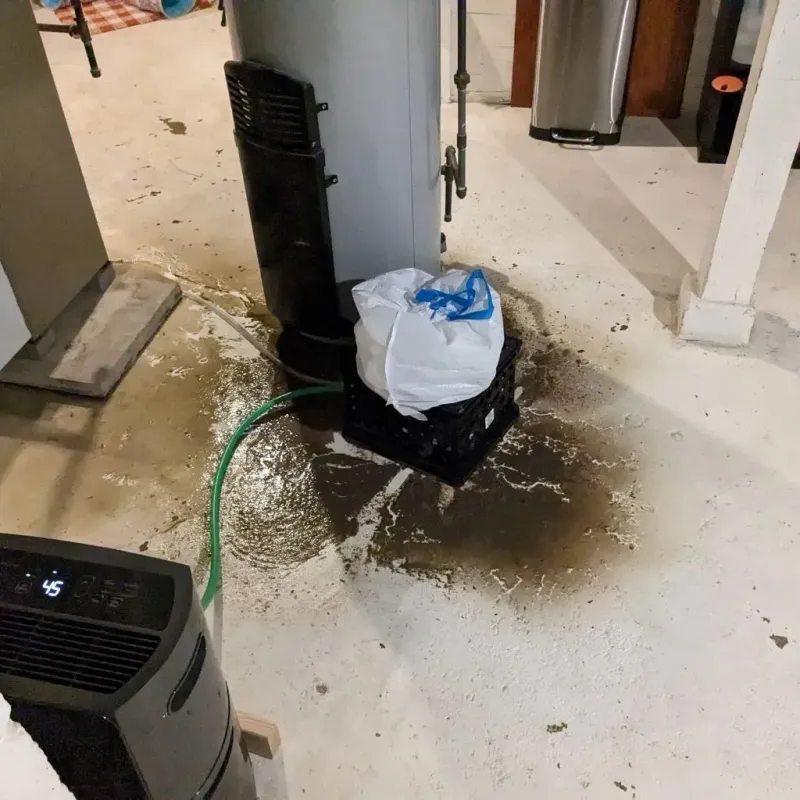 Sewage Backup Cleanup Service in White Hall, AR